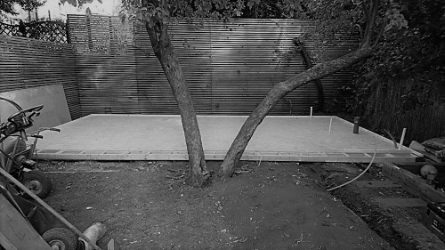 Garden room incorporating a mature tree