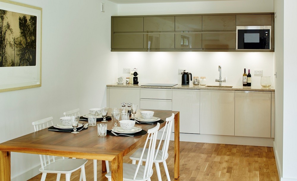 Garden annexe kitchen