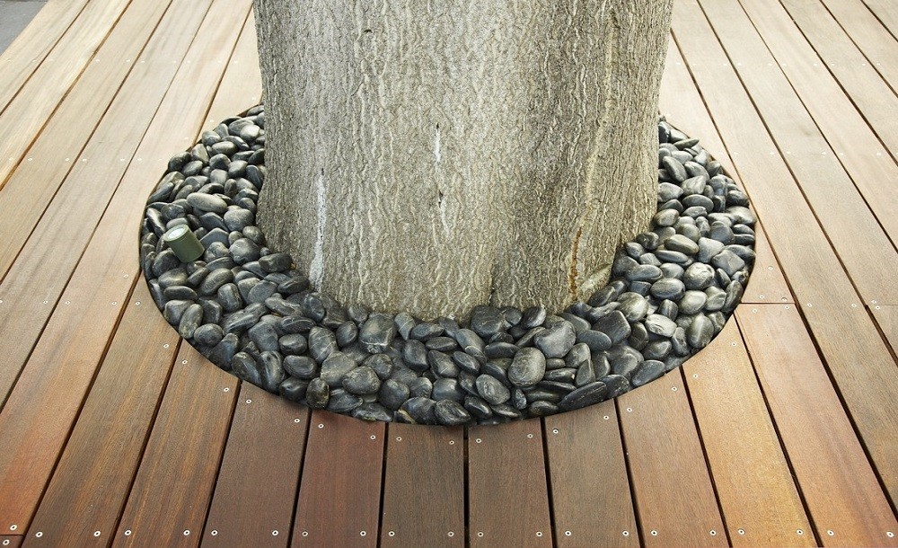 Tree and deck detail