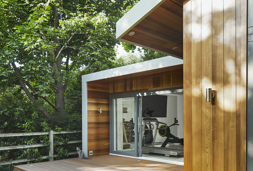 Blue Russian cat standing next to a garden gym in Wimbledon