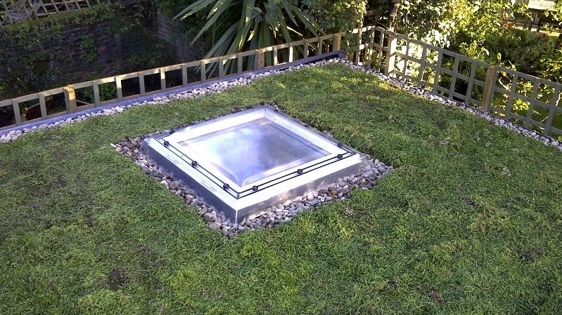 Outdoor office with sedum roof and roof window