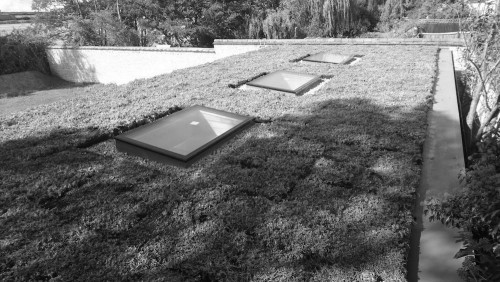 sport cars garage with green roof