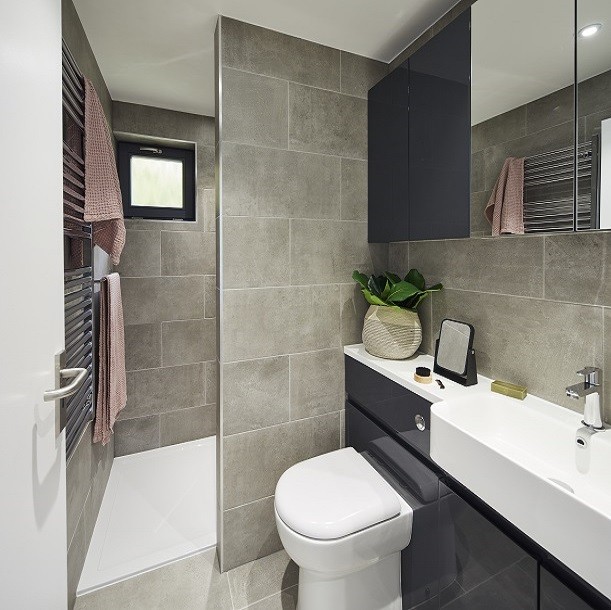 Garden annexe bathroom