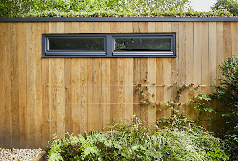 Modern garden room with Western Red Cedar Cladding and High level twin window
