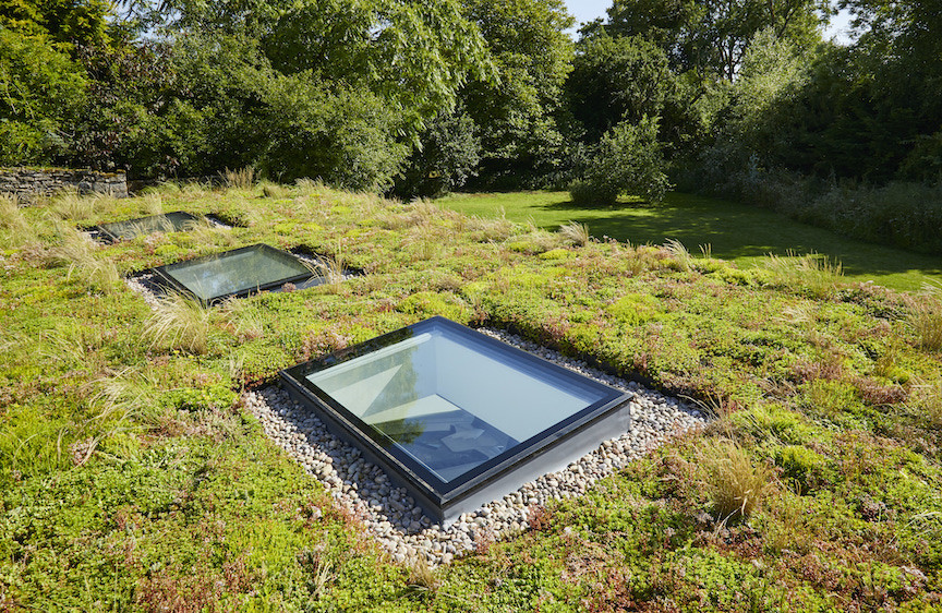 Garden room green roof and vellum windows