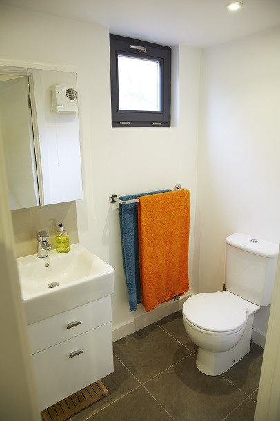 Garden room bathroom